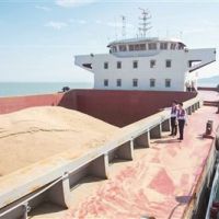遼寧海事局：近期碎石緩征港口建設費，謹防冒充碎石偷逃繳稅