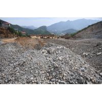 全國政協委員溫香彩：尾礦庫閉庫整治納入礦山生態修復統籌開展