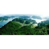 估值超3億!鄂南地區將新增一處大型建筑石料基地