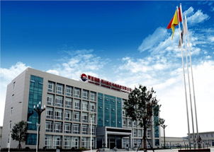 東旭光電000413 發展歷程 主營結構 財務狀況 分析