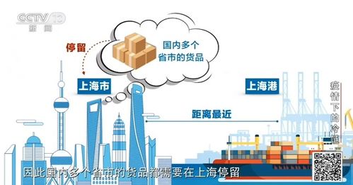 張文宏 冷鏈傳播風險低，上海數據顯示進口貨品感染案例為零