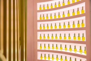 林清軒快閃店登陸上海來福士廣場 實(shí)力演繹中國高端護(hù)膚品牌的百變魔力